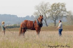 Fred-MHHA-Working-3