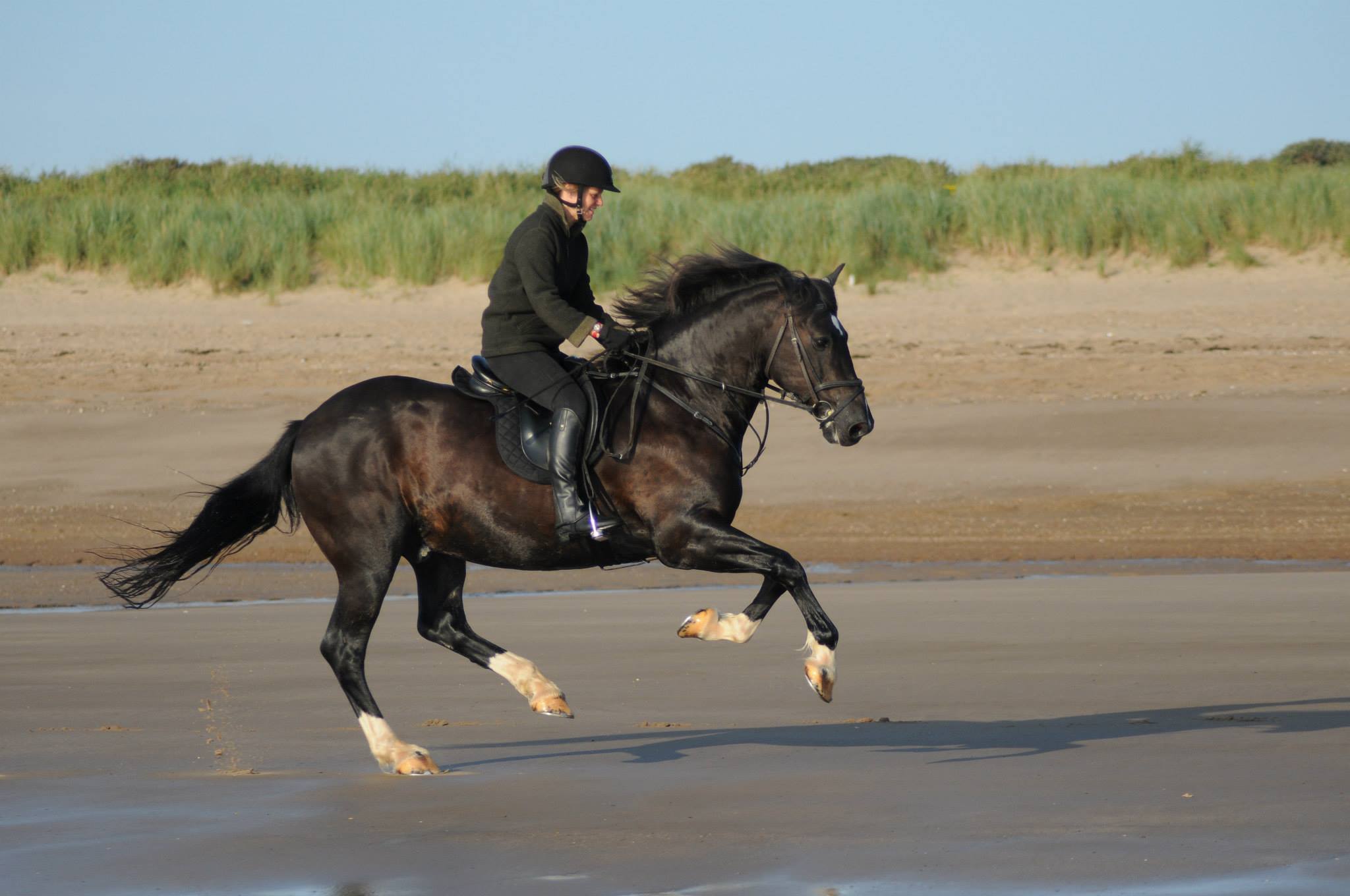 10636635_10153138782353626_7652194462246024515_o