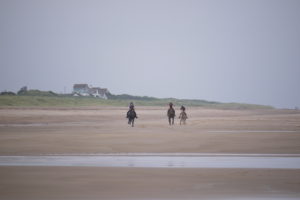 P1020516